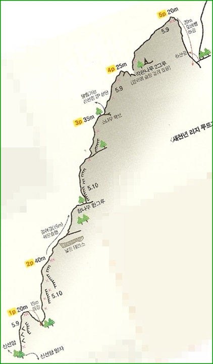 새천년 이미지