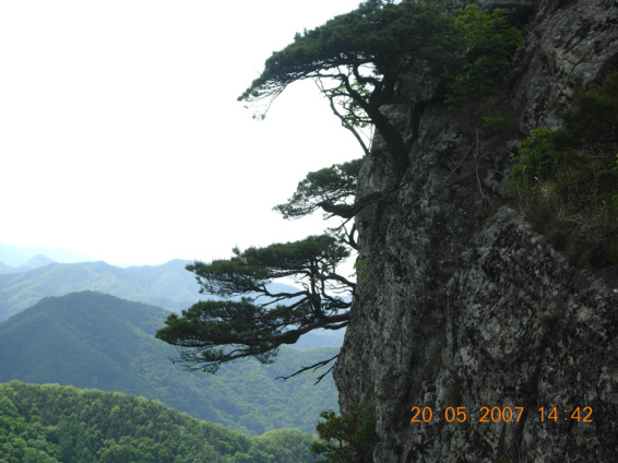 청산 이미지