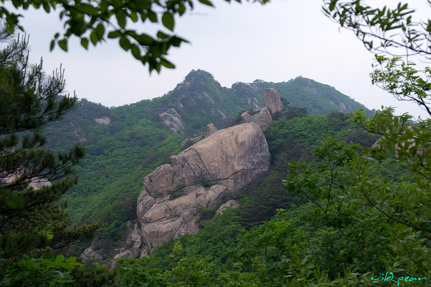 서부관광주유소 이미지