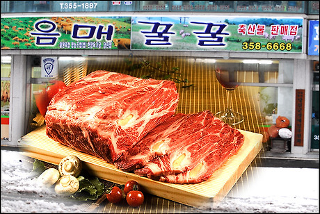 음매꿀꿀 이미지