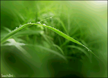 (주)아침 이미지