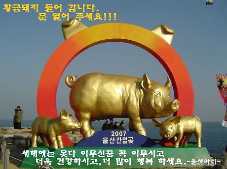 황금돼지 이미지