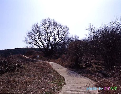 바람섬 이미지