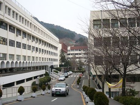 동아대학교 이미지