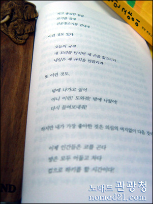노튼 이미지